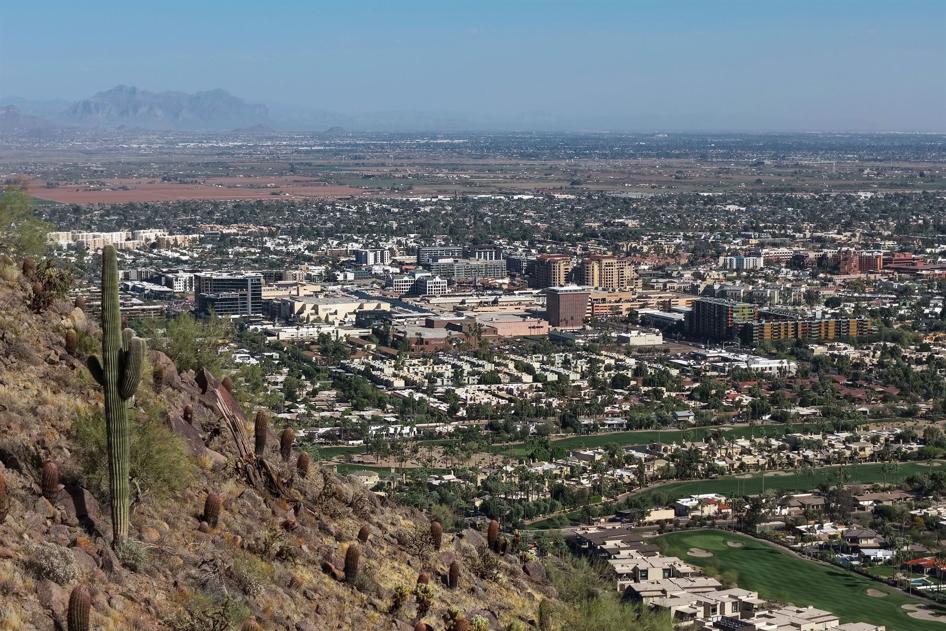 View over Scottsdale, Arizona, with a saguaro cactus in the foreground